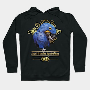 Hyacinth macaw Hoodie